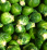 Brussels Sprouts .png